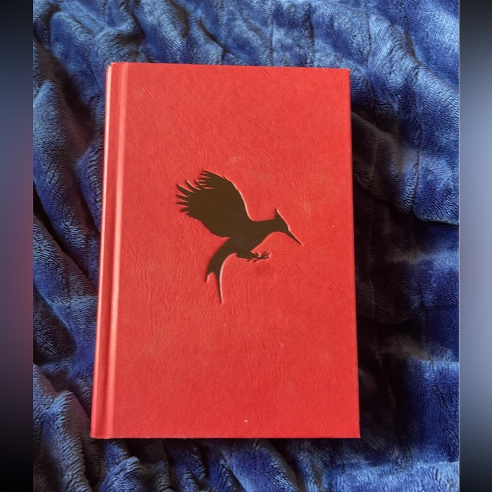 Catching Fire  Hardcover Book